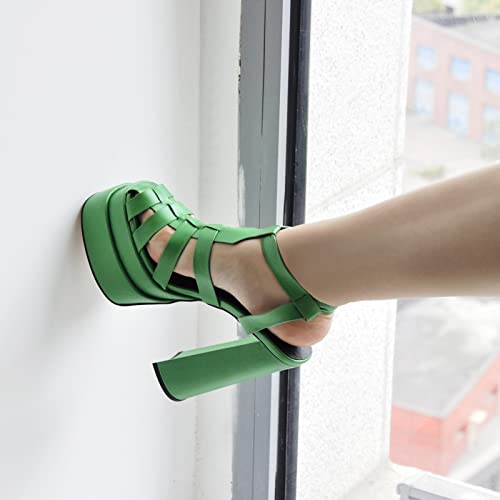 richealnini Double Platform Sandals with Buckles Square Open Toe Block Chunky Heels T-strap Adjustable Buckle Up Roman Fisherman Strappy Heels Ankle Strap Gladiator Pumps Outside Wedding Green Size 6