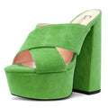 Castamere Women High Chunky Block Platform Heel Peep Open Toe Slip-on Sandals Casual Dress 5.9 Inches Heels Green